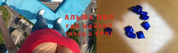 спиды Алзамай
