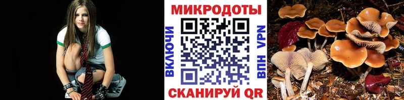 Галлюциногенные грибы GOLDEN TEACHER  Лермонтов 
